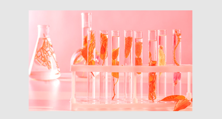 草本植物活性物質提取